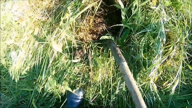 "Копай железо пока травой не заросло!". Щедрые подарки от Советского Союза. Копаю с MD - 4030 смотреть онлайн