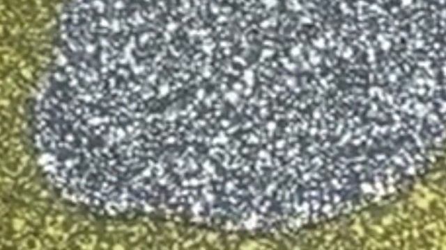 Здоровый Образ Жизни в Движении