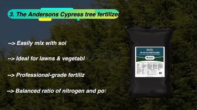 Best Fertilizer for Leyland Cypress смотреть онлайн