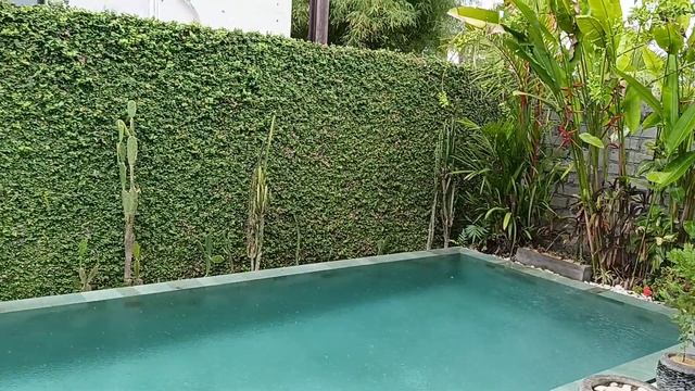 Первый дождик за несколько месяцев. 12.11.23