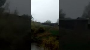 Платная рыбалка. пруд Сухой-2