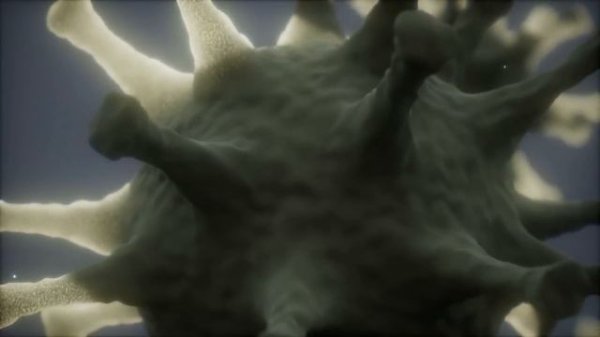 The Fermi Paradox: Firstborn