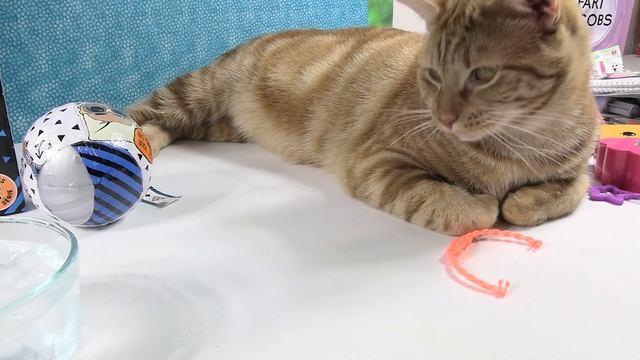 LOL Surprise Boys Series 2 Full Box Doll Opening Part 1 Review | PSToyReviews смотреть онлайн