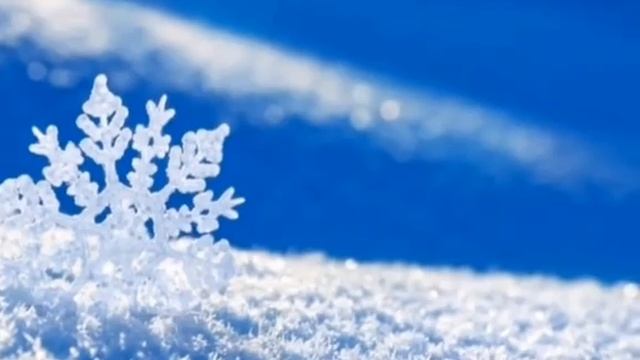 VID-20221231-WA0005.mp4 смотреть онлайн