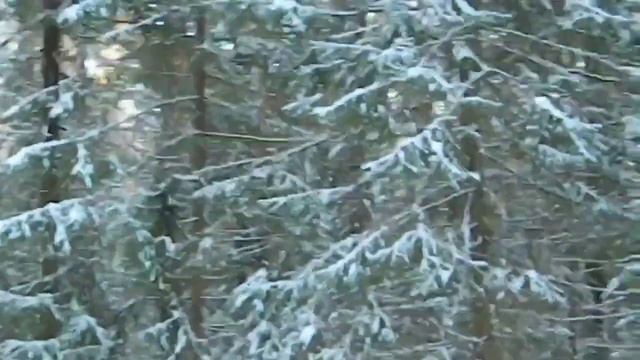 40 | Что мы можем сделать для осуществления всего этого? | Учебник Глобального Пробуждения смотреть онлайн