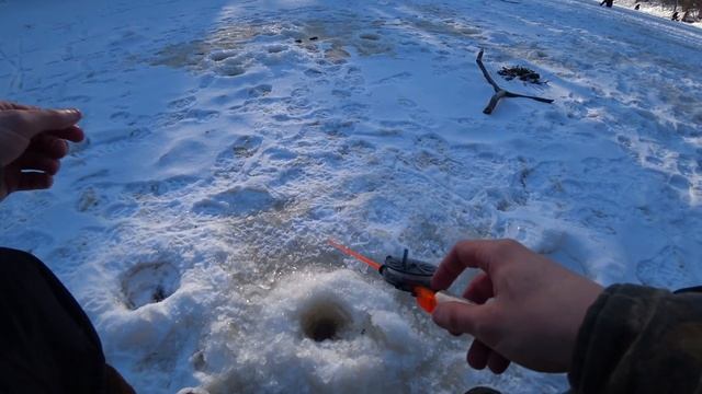 ЛЕСКА ТРЕЩИТ В РУКАХ ОТ ТАКИХ ОКУНЕЙ !!! ЛОВЛЯ ОКУНЯ НА ЗИМНЮЮ УДОЧКУ !!! РЫБАЛКА В ЗАТОНЕ РЕКИ !!! смотреть онлайн