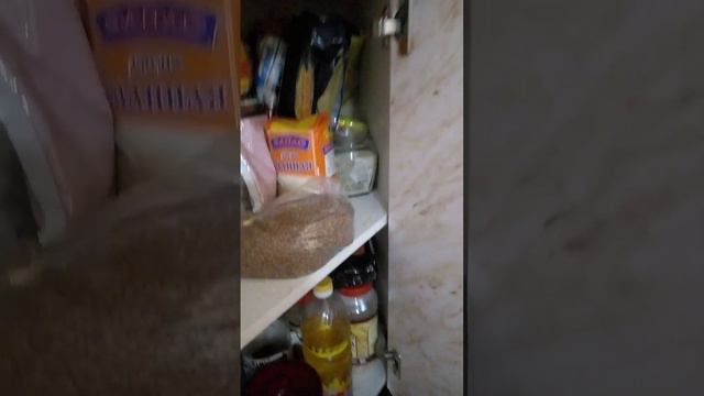 нашествие мышей смотреть онлайн