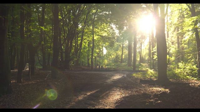 Wave Line Innovations