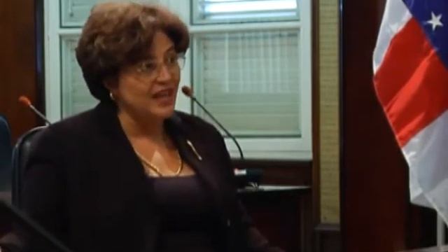 Interview 5 - Sra. Susanne Camelia-Römer смотреть онлайн