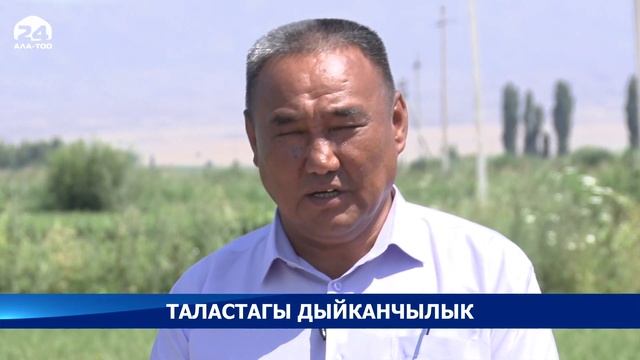 Таластагы дыйканчылык смотреть онлайн