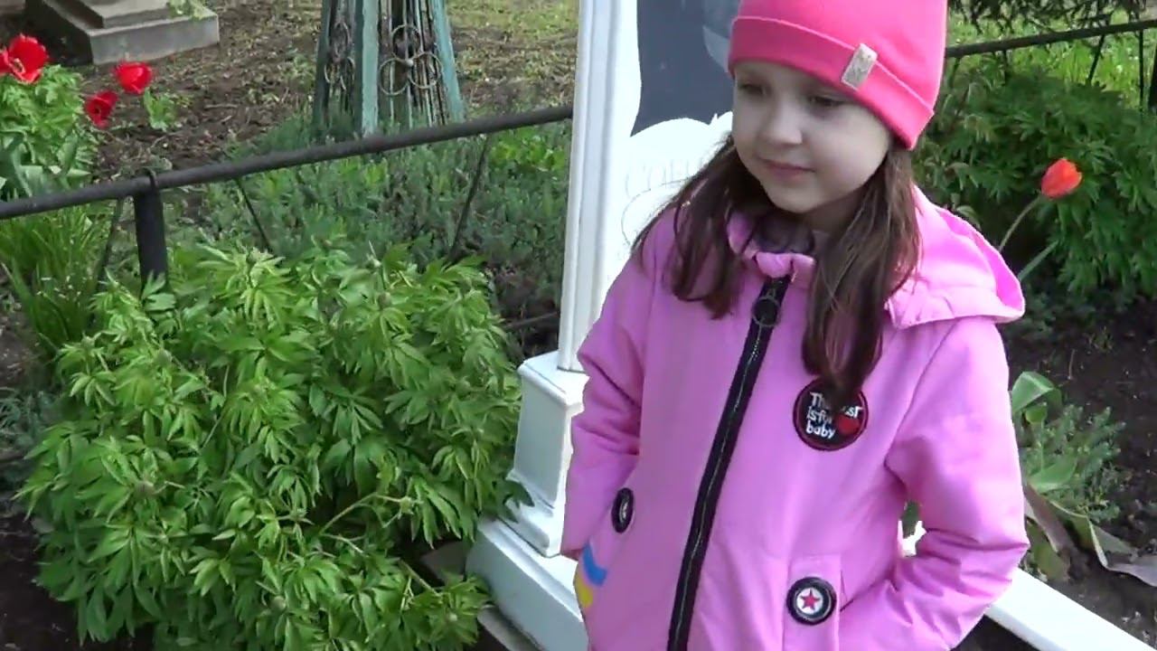 ВСЁ РАСТЁТ / Я НЕ ПЕРЕЖИВАЮ / СПОРТИВНЫЙ ИНТЕРЕС смотреть онлайн