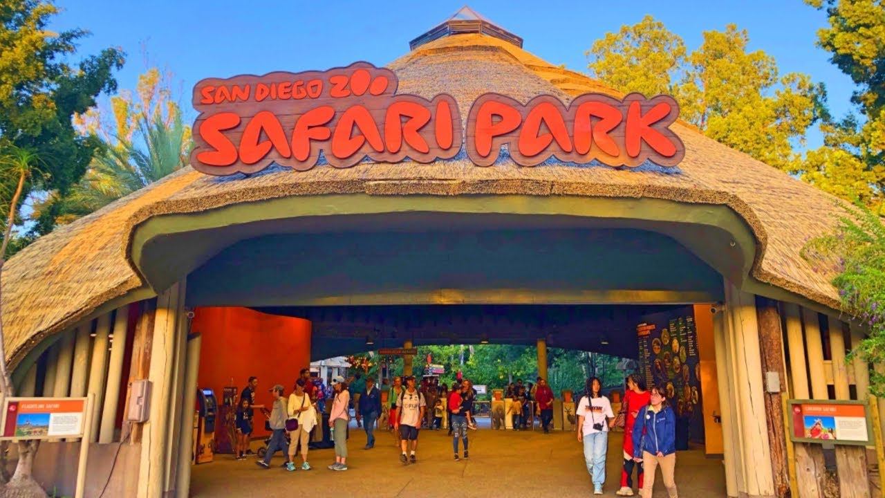 Сафари-Парк в Сан-Диего: Незабываемое путешествие и погружение в мир дикой природы смотреть онлайн