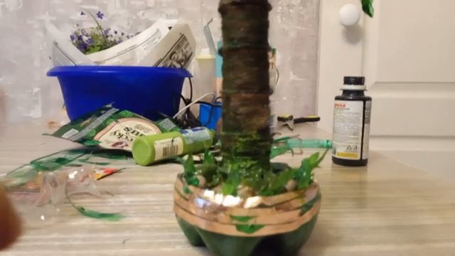пальма из пластиковых бутылок смотреть онлайн