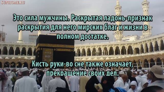 К чему снится Кисть руки, ладонь сонник, толкование сна смотреть онлайн