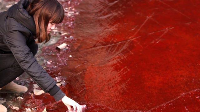 China Panic: Rivers China Turned Blood Red Overnight | China Floods | Three Gorges Dam | China News смотреть онлайн