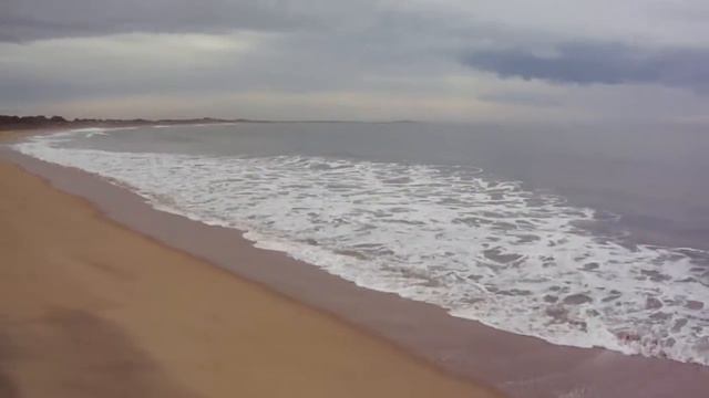 Завтрак на берегу Индийского океана во время сафари в национальном парке Яла на Шри-Ланке смотреть онлайн