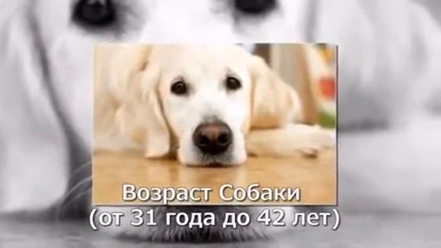 В жизни каждой Женщины есть  12 периодов