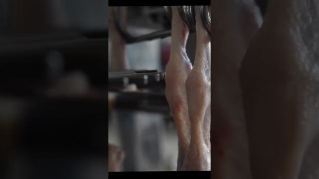 The feet cutting part of Eruis slaughter line смотреть онлайн