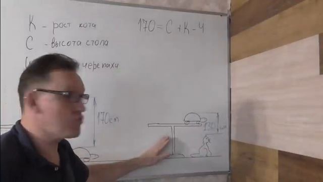 Весёлая задача про стол, кота и черепаху. смотреть онлайн