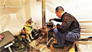 Вывожу металл!  Вокруг тайга, болота! Полные сани металлолома! Раскопал палатку, Всё восстановлено..