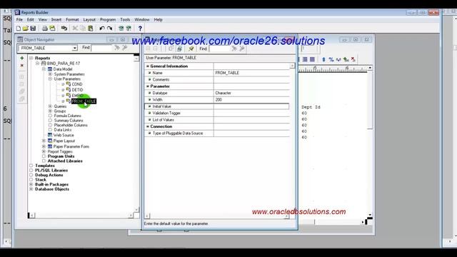 Oracle Reports | How To Set User Parameters-Lexical Parameters | Bangla R-18 смотреть онлайн