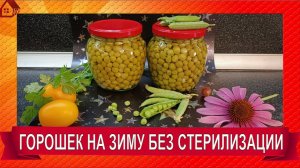 Консервируем ЗЕЛЕНЫЙ ГОРОШЕК на зиму. БЕЗ СТЕРИЛИЗАЦИИ!