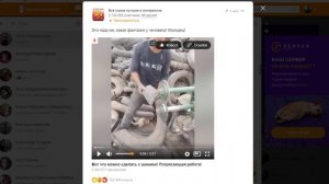Как изменить скорость видео в  ютуб, вк и однокласниках