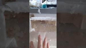 Замена  в термотстата в холодильнике Candy CKBS 6200 S