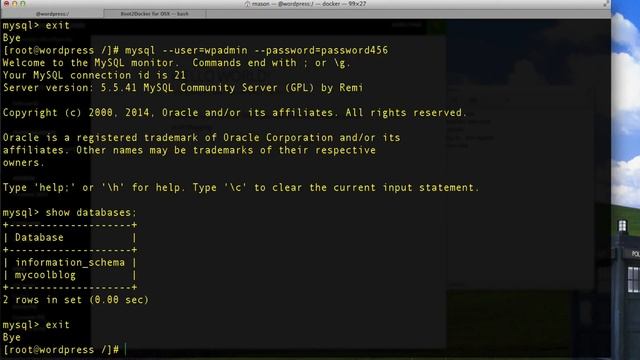Running Wordpress in a Docker Container - Appcontainers/wordpress review смотреть онлайн