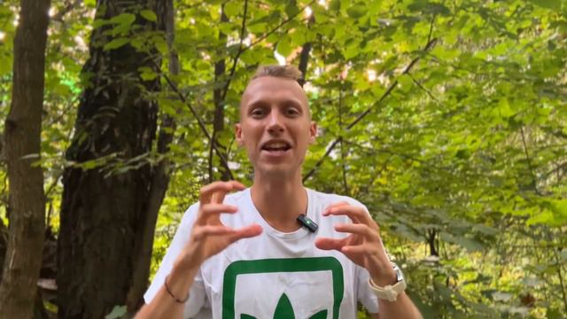 Можно ли ЗАМЕНИТЬ мед сахаром ? Стоит ли есть диабетикам мед вместо сахара ? Полезные свойства меда смотреть онлайн