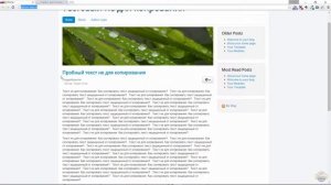 Как скопировать текст с сайта? (Защищенный от копирования)