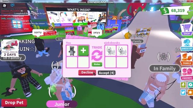 Что ДАЮТ за обычную КОАЛУ в Адопт Ми/ ТРЕЙДЫ НА КОАЛУ/ROBLOX/Adopt Me смотреть онлайн