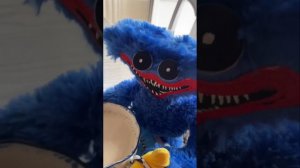 Топ видео с Хаги Ваги и Киси Миси