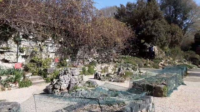 JARDIN DES PLANTES I JARDIN DES PLANTES A PARIS I PARIS JARDIN I САД ЦВЕТОВ ПАРИЖ I ПАРИЖСКИЙ САД