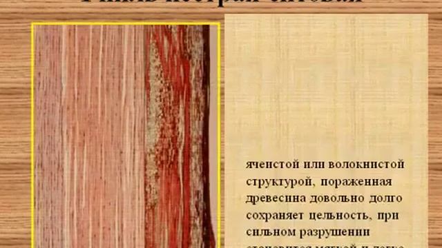 Пороки древесины смотреть онлайн