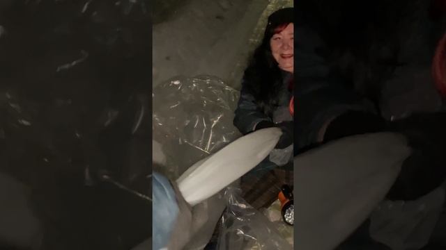 ФОРСАЖ -ЛЕДЯНЫЕ ГОНКИ! #челлендж #новыйгод #christmas #ржака #forsage #shorts смотреть онлайн