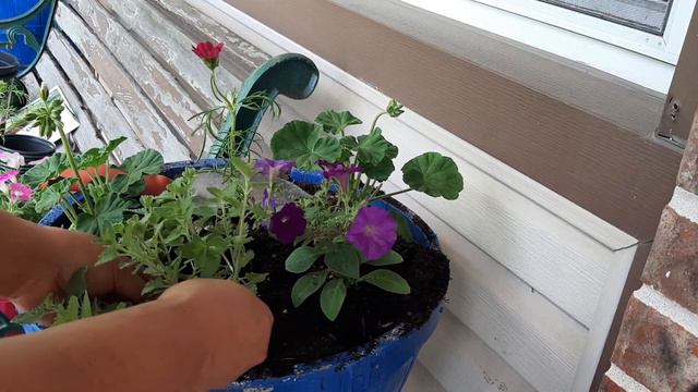 PLANT WITH ME / CONTAINER PLANTING AND EASY TO CARE ANNUAL FLOWERS / SPRING GARDENING IN ZONE 5 смотреть онлайн