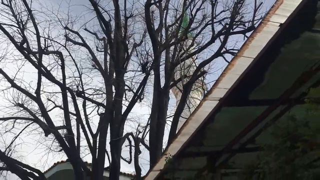 CUMALIKIZIK BURSA / Встреча со зрителями / Джумалыкызык Бурса