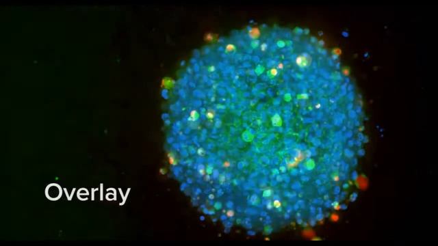 Generate interactive, 3D renderings from multiwell data sets смотреть онлайн