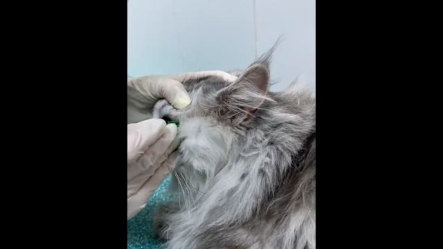 Учим Делать Красиво