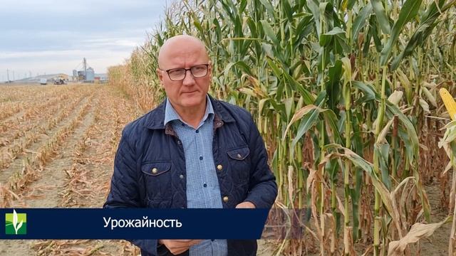 ? Особенности возделывания кукурузы на силос в Ф-ле "Порозово" СПК имени Деньщикова смотреть онлайн