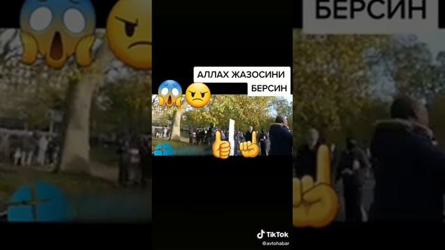Франция исламафобия макрокона смотреть онлайн