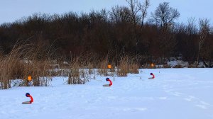 УШЛИ ЛОВИТЬ ОКУНЯ, А ТУТ ТАКОЕ НАЧАЛОСЬ!!! РЫБАЛКА НА ЖЕРЛИЦЫ 2024