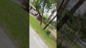 ASTROROLLER - MASKS  (Бабангида - Маска)