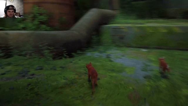 Та самая игра про кота STRAY Прохождение #1 Пролог смотреть онлайн