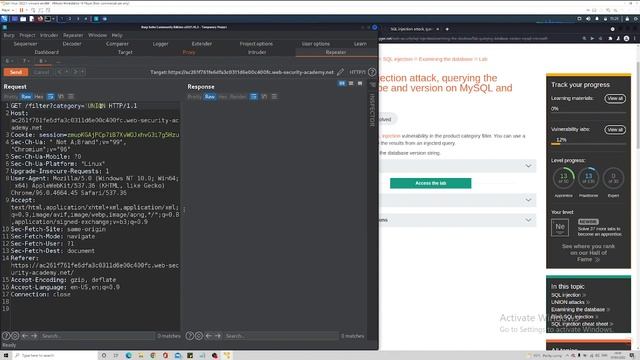 SQL injection attack, querying the database type and version on MySQL and Microsoft -VIDEO SOLUTION смотреть онлайн