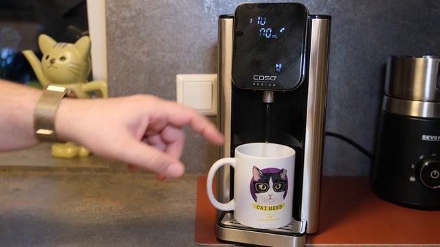 Test: CASO Design Turbo Heißwasserspender HW660 смотреть онлайн