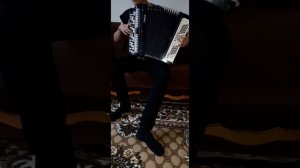 Песня Ярослава Евдокимова «Фантазер» на баяне