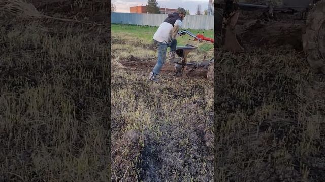 второе видео. Пашка для сажание картошку. мотор сич 13 лошадиных сил. смотреть онлайн
