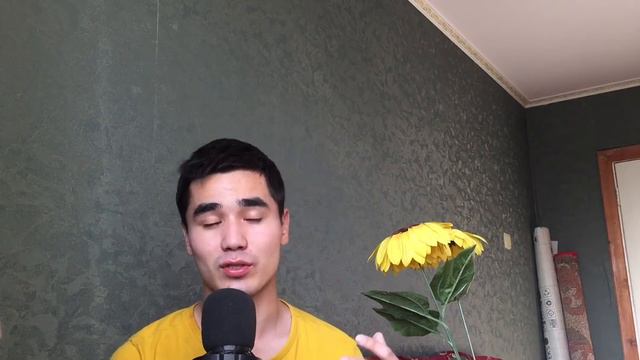Самое первое видео на ютубе смотреть онлайн